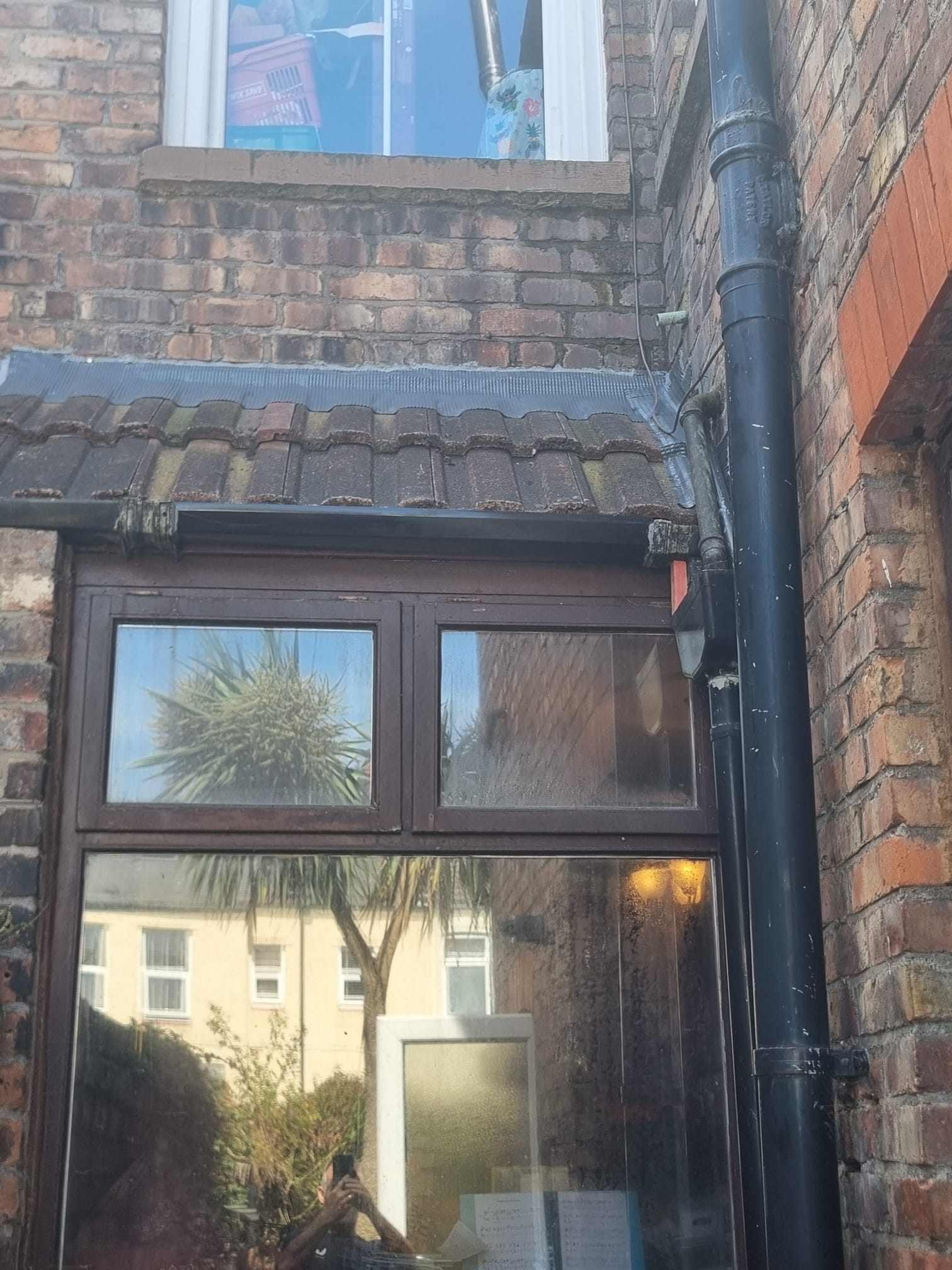 After — reinstated coverings
